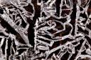neige glace