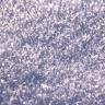 mole_neige2.jpg