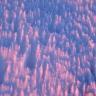 saleve_neige.jpg